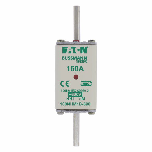 NH1 aM Fuse (Size 1, 690V AC)