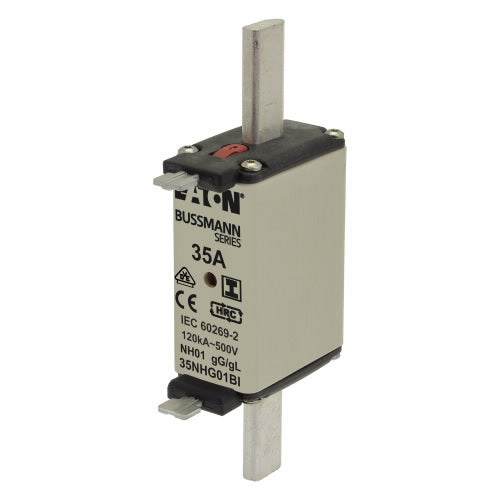 NH01 Insulated Fuse (Size 01, 500V AC)